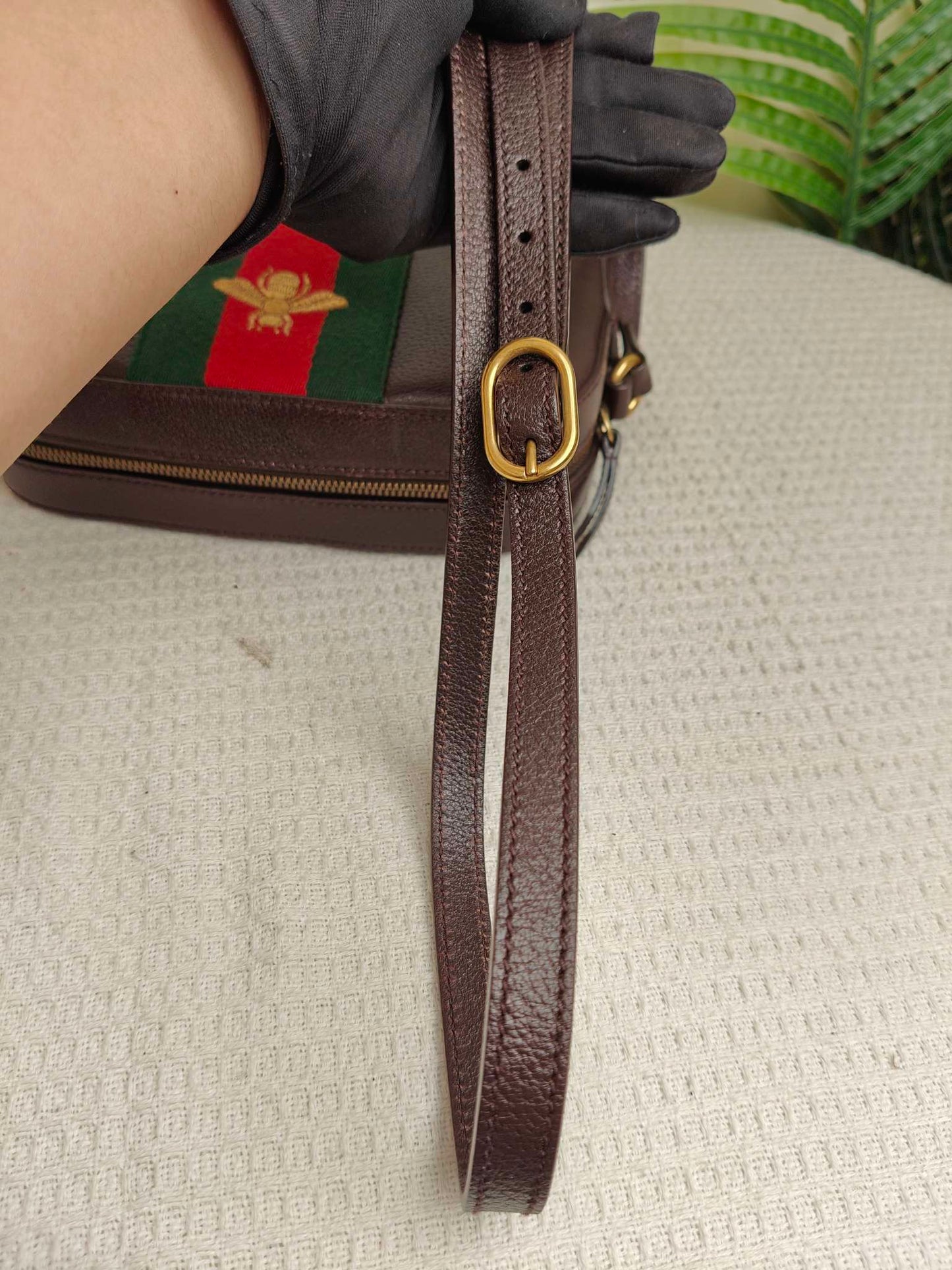 Gucci Little Bee Camera Bag Shoulder Bag ~